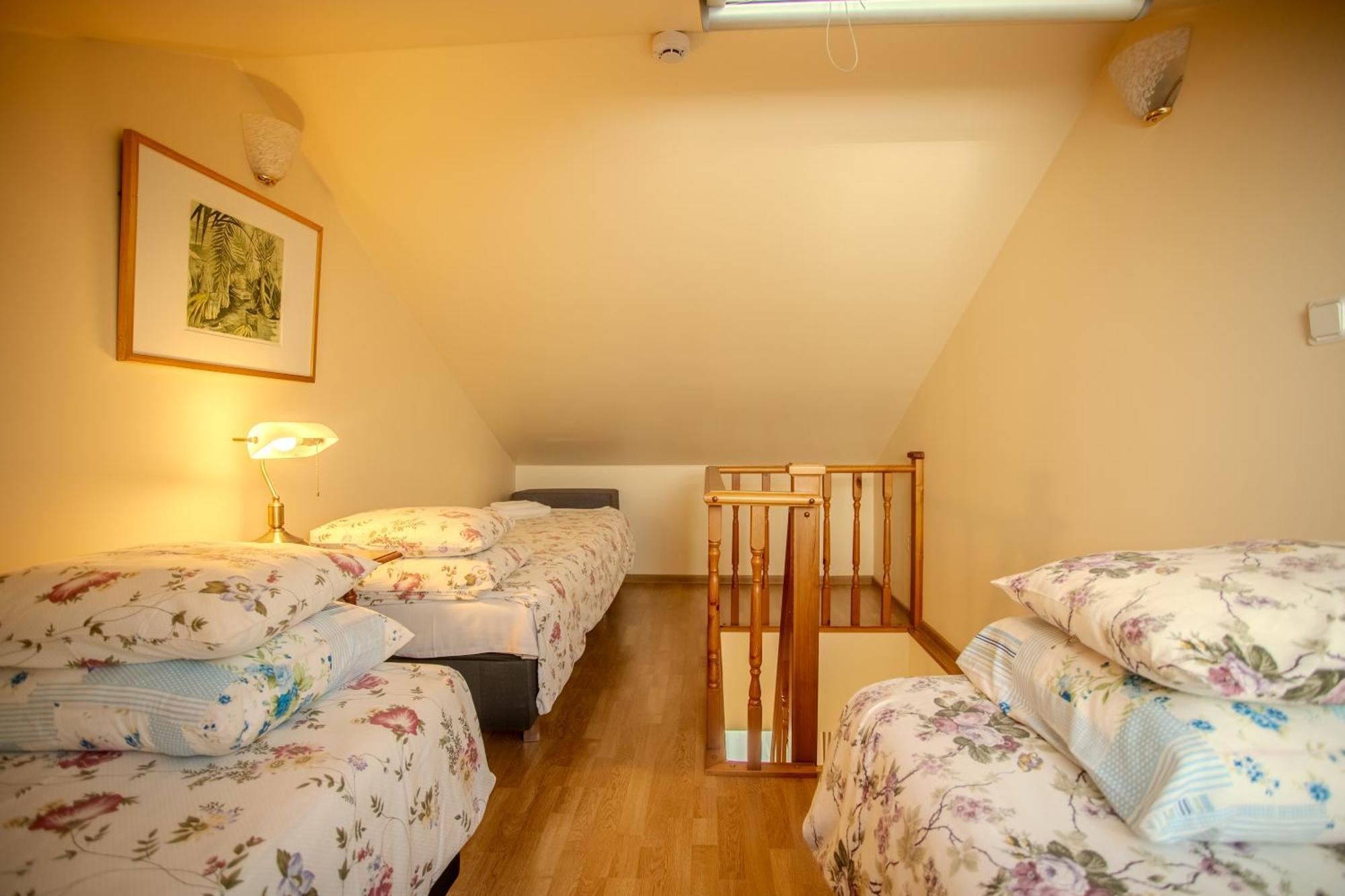 Nina Kordon Guesthouse Alatskivi Εξωτερικό φωτογραφία